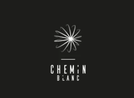 Studio Inti - Design graphique engagé